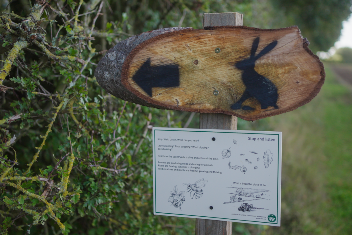 Wold Escapes private farmland walk 