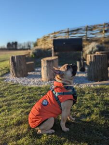 Marcel Dog at Wold Escapes 